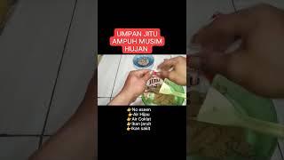 UMPAN JITU IKAN MAS MUSIM HUJAN #racikanumpanikanmas  #umpanikanmasviral @OmNoychannel #vidioshort