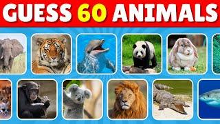 Guess The ANIMAL In 3 Seconds   60 Animals