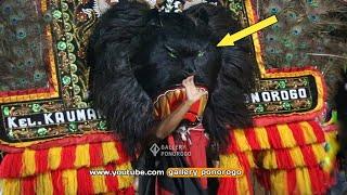 Mistis Reog Kepala Hitam dan Mata Menyala Berwarna Hijau ini ditaklukkan Pembarong Kondang