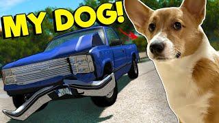 I Tried to Teach My Corgi How to Play BeamNG?