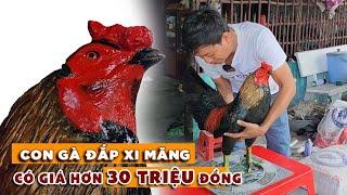 Chuyện lạ Con gà đắp xi-măng của chàng Hotboy khách mua với giá hơn 30 triệu  Bùi Hồ TV