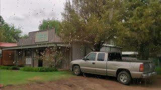 Visit to Joe Exotics Zoo and Ghost Adventures Filming Halted By Sheriff Due to Cadaver Dogs Hit