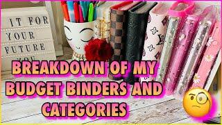 BREAKING DOWN MY BUDGET BINDERS AND CASH ENVELOPES  CASH BUDGETING FOR BEGINNERS  DAISYBUDGETS