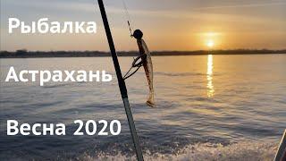 РЫБАЛКА В АСТРАХАНИ 2020 Ловля судака ранней весной на базе Никольское.