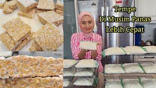 Membuat Tempe Di Musim Panas beda di Musim Dingin.