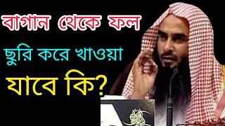 বিনা অনুমতিতে অন্যের গাছের ফল পেড়ে খাওয়া যাবে কি ️ শায়খ মতিউর রহমান মাদানী হাফিজাহুল্লাহ।।