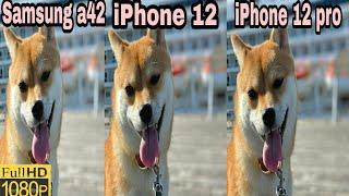 Samsung a42 vs iphone 12 vs iPhone 12 pro camera comparisoncamera test Samsung a42