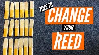 How Often Should You Change A Reed