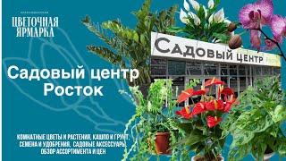 Ярмарка цветов. Садовый центр Росток. Комнатные растения и аксессуары