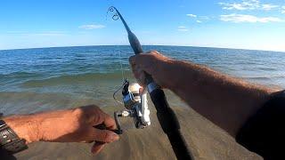 BLUEFISH Everywhere - BEACH FISHING for BLUES - Top SALTWATER Action