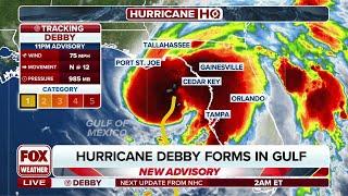 Hurricane Debby Forms In The Gulf Of Mexico Ahead Of Florida Landfall
