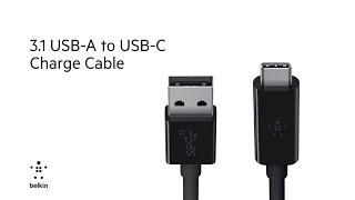 USB-C At A Glance 3.1 USB-A to USB-C Cable