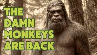 Bigfoot at Bumping Lake  New 2024 Documentary  Audio Files