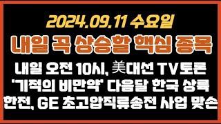 24.09.10화 내일 핵심 테마종목 내일 오전 10시 미대선 TV 토론 기적의 비만약 내달 상륙 한전GE 초고압직류송전 사업 맞손 #우리바이오  #대봉엘에스