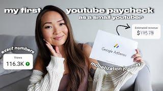 how much youtube paid me as a small youtuber  my analytics & youtube monetization journey