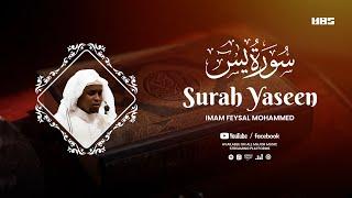 Peaceful Recitation of Surah Yaseen سورة يس
