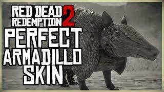 HOW TO GET A PERFECT ARMADILLO SKIN - RED DEAD REDEMPTION 2 - 3 STAR PRISTINE ARMADILLO HUNT