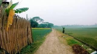 Beautiful Village Road Kamaidia Saltha Faridpur.