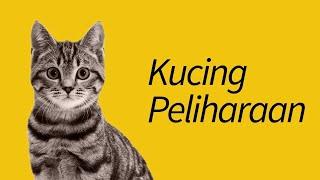 10 Jenis Kucing Peliharaan—#3 Kayak Anjing