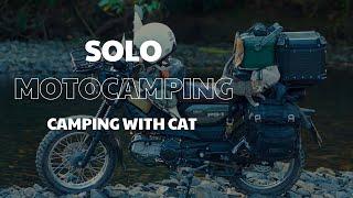 Solo MotoCamping  SoloRide  Camping in Forest  ASMR