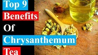 Top 9 Benefits Of Chrysanthemum Tea  Health Benefits