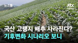 국산 고랭지 배추 사라진다?...기후변화 시나리오 보니  JTBC 뉴스룸