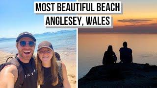 The Most Beautiful Beach in Wales Jellyfish Puffins & Sunset What to do in Anglesey Wales