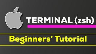macOS Terminal zsh - The Beginners Guide