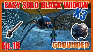 How To Kill A Black Widow Easy - Grounded