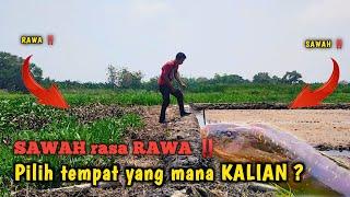 SAWAH RASA RAWA ‼️ HASIL MANCING AMAT SANGAT ISTIMEWA