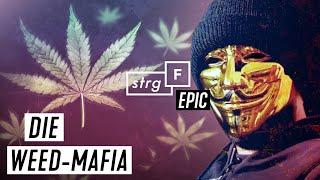 Weed-Mafia Wie blutig ist unser Gras?  STRG_F EPIC