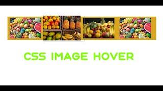 Div Image Hover Effect Using HTML AND CSS TUTORIAL