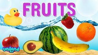 Sink or Float Challenge Fruit  UniLand Kids