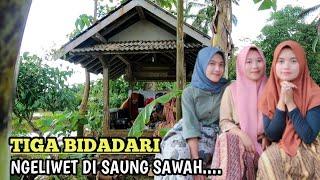 Pesona Gadis Desa Cantik dan Rajin Ngeliwet di Saung Sawah NIKMAT.. Indonesian Girl Rural Life