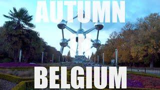 Autumn In Belgium