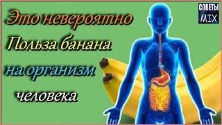 Невероятная польза банана для организма. Вот почему нужно есть бананы каждый день