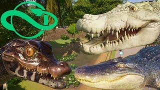 Planet Zoo All Crocodiles and New Albino Crocodiles in the Zoo - Ep28