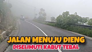 JALAN TIENG WONOSOBO DISELIMUTI KABUT TEBAL