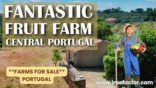  Fantastic Fruit Farm  Central Portugal  Reserved