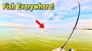 FISHING GALVESTON Bay for AGGRESSIVE Speckled TROUT Catch Clean Cook