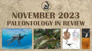 November 2023 - Paleontology in Review