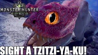 Sight a Tzitzi Ya Ku Location Monster Hunter World