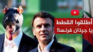 فرنسا تريد التعايش مع الجرذان وتترك الحل البسيط