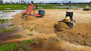 Wowexcellent Machinery New area Development​ Bulldozer Komatsu DR51PX​ Push land with dump truck