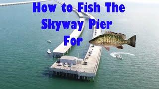 How to FISH The Skyway Fishing Pier Beginners Guide