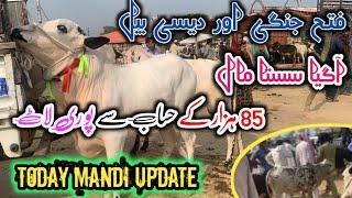 mandra mandi Rawalpindi 2024 latest update ll fateh jangi and dasi bail ll part 3 ll jamil tv