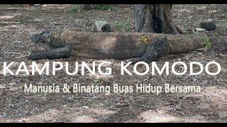 Petunjuk Penting Memasuki Kampung Komodo