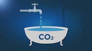 Der Unterschied zwischen CO2-Emissionen und CO2-Konzentration