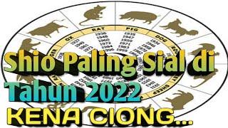 Kena Ciong Ini 2 Shio Paling Sial di Tahun Macan air 2022 Adakah Shio Kamu? Dan Solusi nya 