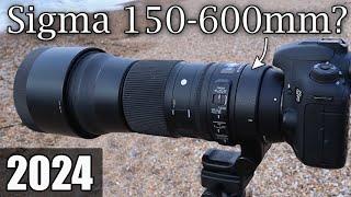 Watch this BEFORE you Buy the Sigma 150-600 Contemporary Lens in 2024  Camera Reviews on the Beach